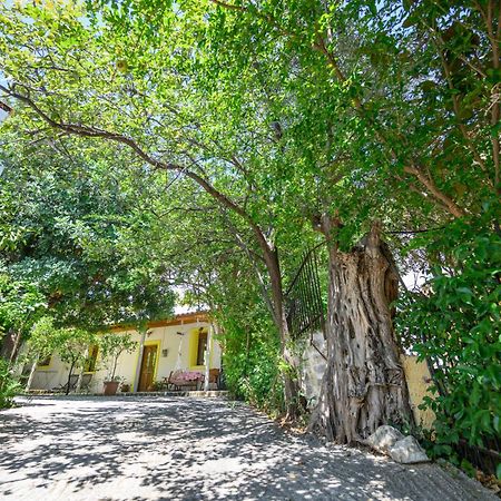 Small Villa Gerani Agios Vlasios  エクステリア 写真