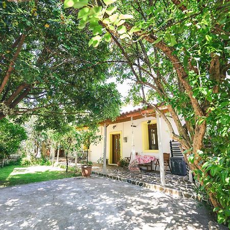 Small Villa Gerani Agios Vlasios  エクステリア 写真