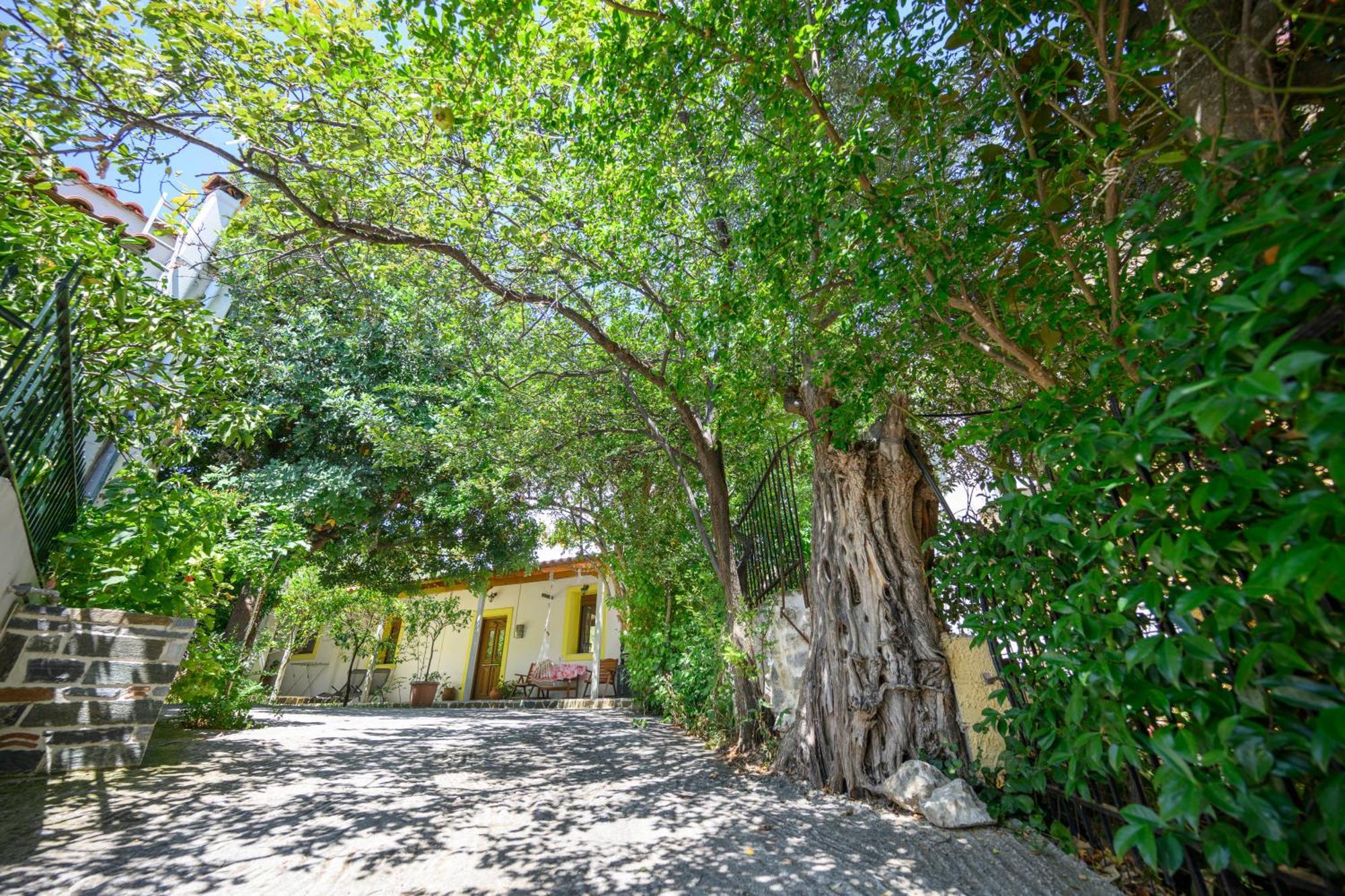 Small Villa Gerani Agios Vlasios  エクステリア 写真