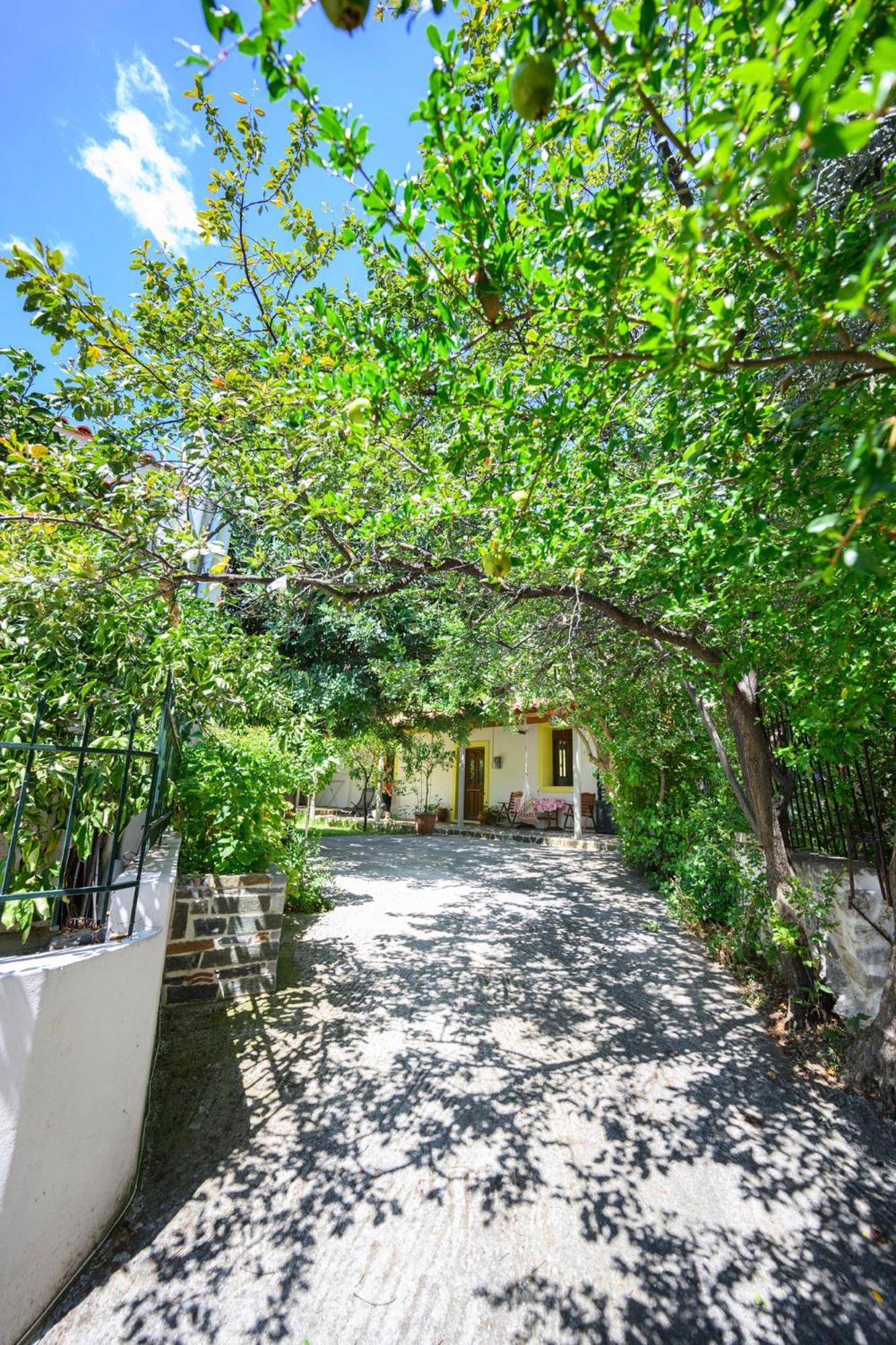 Small Villa Gerani Agios Vlasios  エクステリア 写真