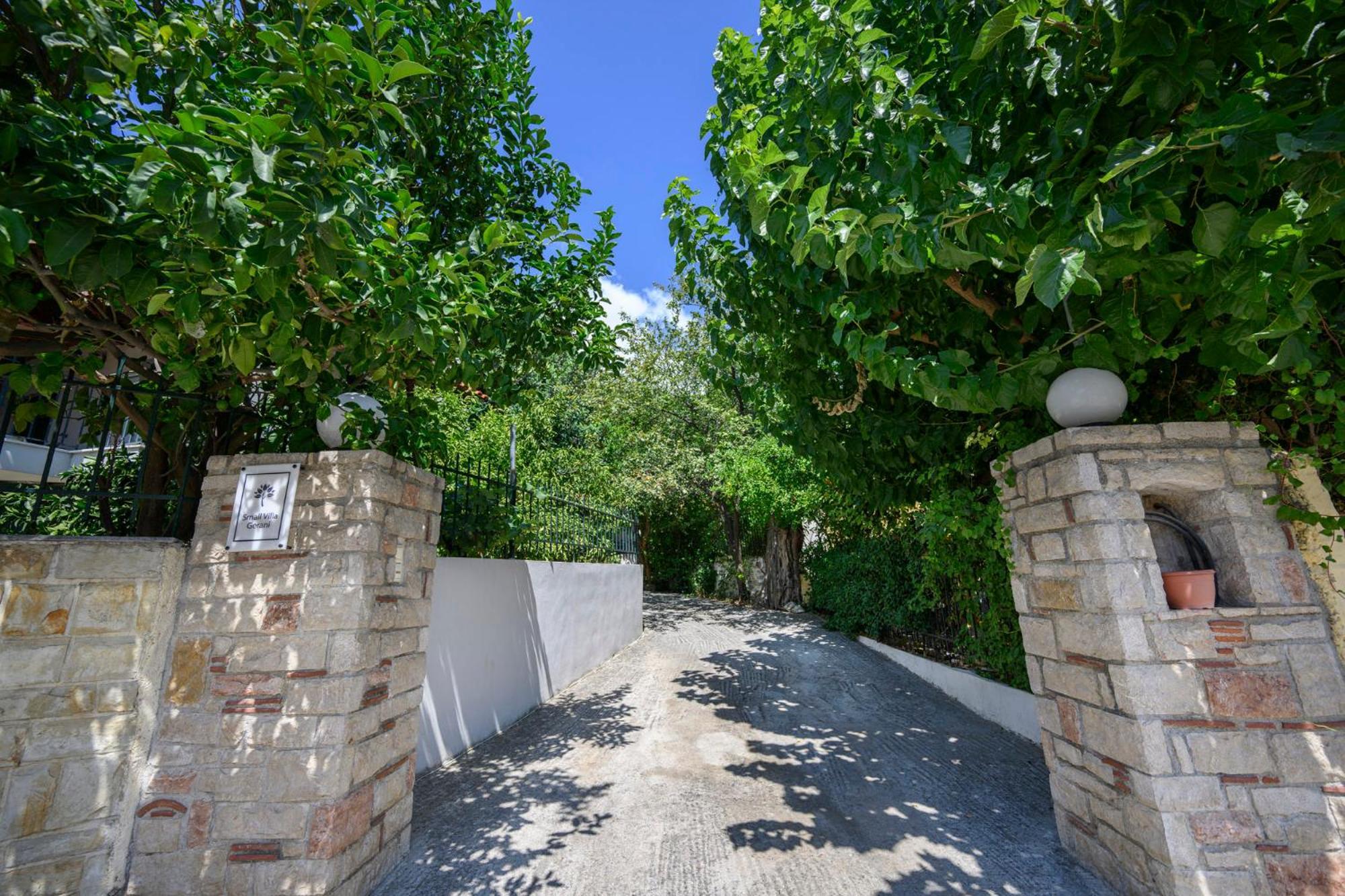 Small Villa Gerani Agios Vlasios  エクステリア 写真
